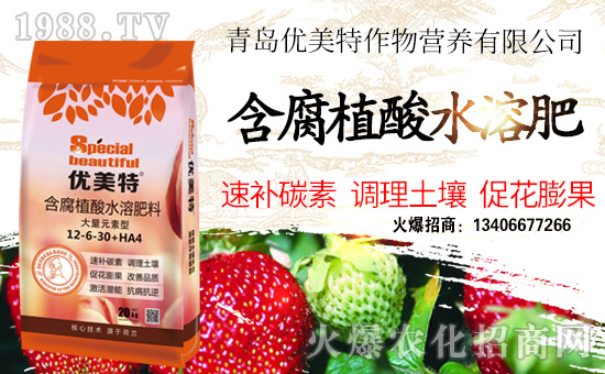 ����(y��u)�������ףȫ���������w�������f��������