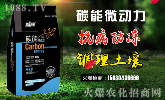     ������r(n��ng)�I(y��)��ףȫ���������w�������f�����⣡