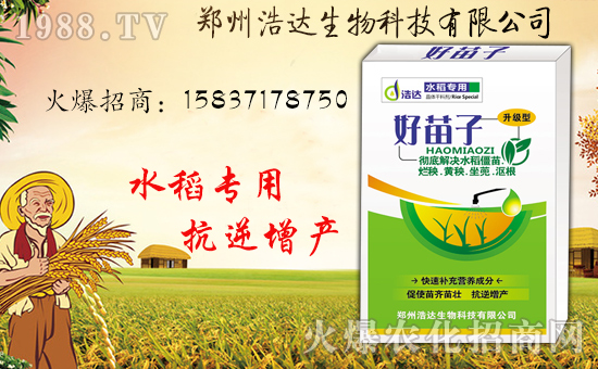 �����_�����ף������������옷�����i���������