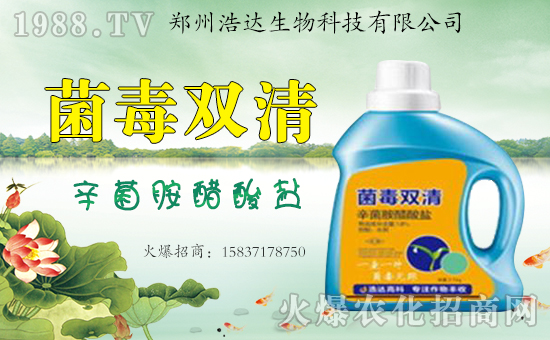 �����_�����ף������������옷�����i���������