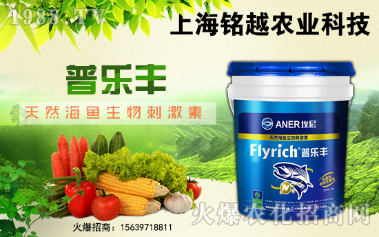 ���Խ�r(n��ng)�I(y��)��ף������µ�һ����ؔ�\�L�L������������