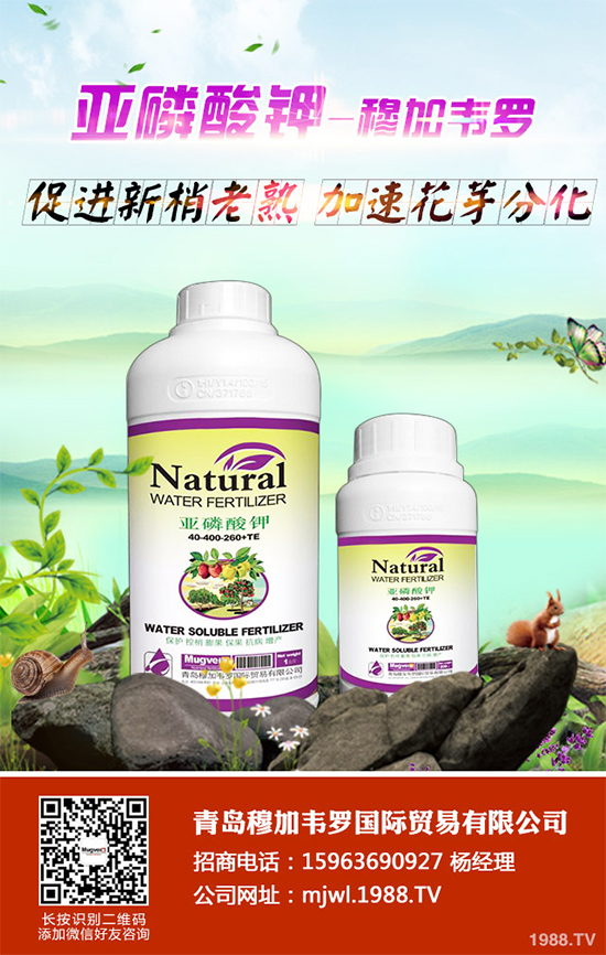 甘藍(lán)軟腐病有哪些癥狀表現(xiàn)？是如何發(fā)生的？甘藍(lán)軟腐病預(yù)防措施