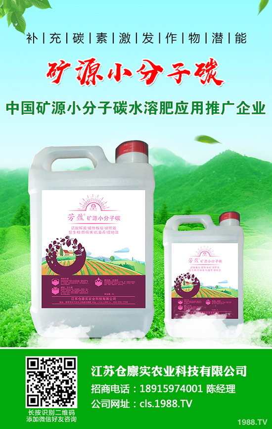 馬鈴薯爆發(fā)晚疫病怎么辦？馬鈴薯晚疫病防治方法！