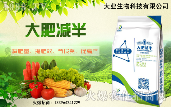 �����r(n��ng)�����̾W(w��ng)�p�롱�¸����x����