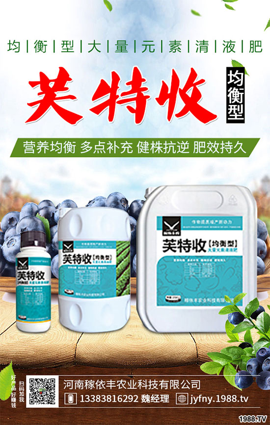 陽(yáng)臺(tái)上能種植上海青嗎？該注意什么？陽(yáng)臺(tái)上種植上海青的注意事項(xiàng)