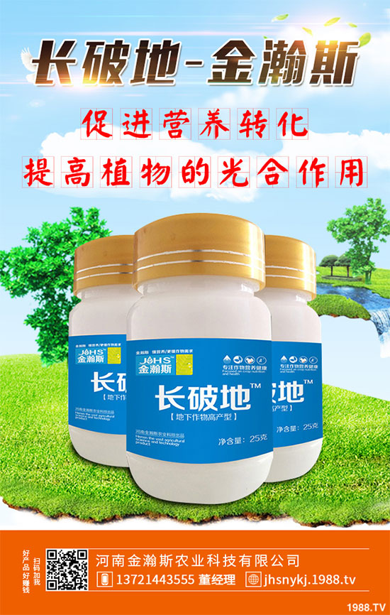 十月份蔬菜該怎么管理？2019年10月蔬菜種植管理指南