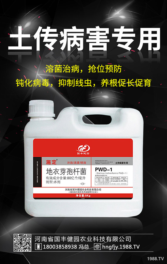 小麥除草劑什么時候打好，小麥打除草劑的時間及注意事項！