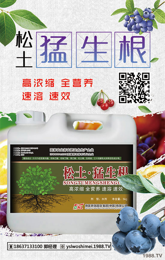 小麥苗期為什么死苗嚴(yán)重？小麥出苗期死苗咋補(bǔ)救？