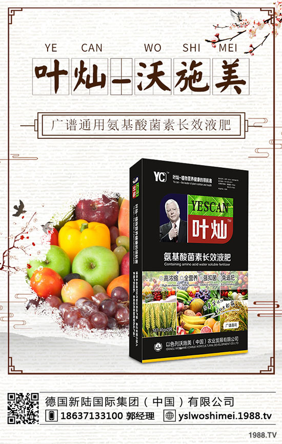 冬小麥為什么出現(xiàn)黃苗，死苗？冬小麥黃苗，死苗防治措施！