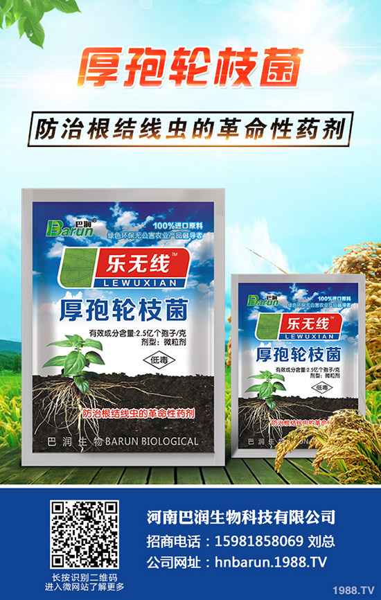 ����÷��ô�B(y��ng)������÷���B(y��ng)ֳ������ע�����(xi��ng)��