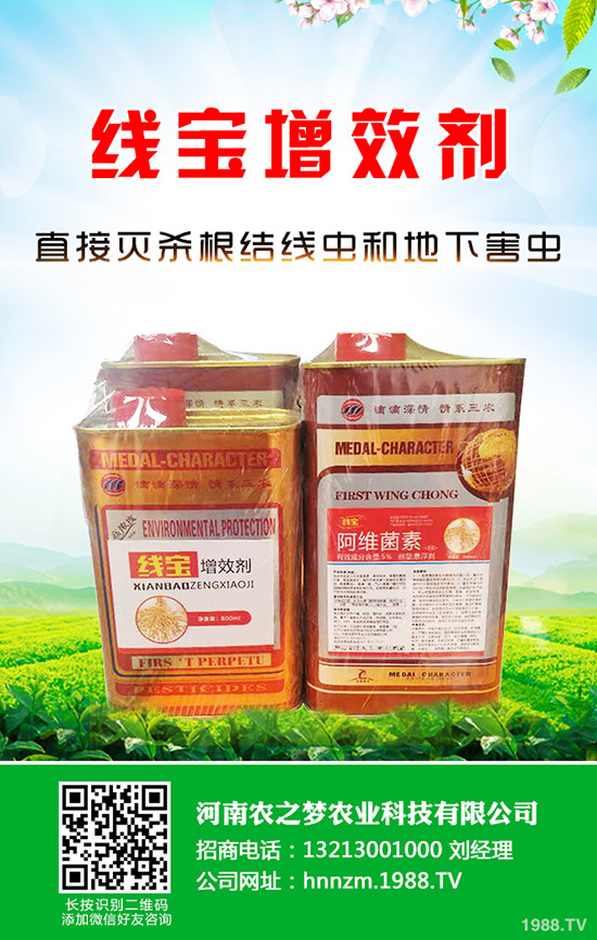 芹菜發(fā)芽慢如何解決？芹菜的催芽小技巧！