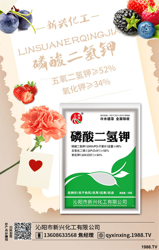 香蔥連作危害大，到底該如何解決？香蔥連作障礙及高產(chǎn)管理技術(shù)！