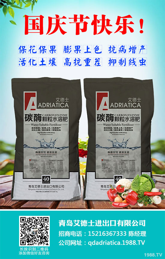 香蔥連作危害大，到底該如何解決？香蔥連作障礙及高產(chǎn)管理技術(shù)！