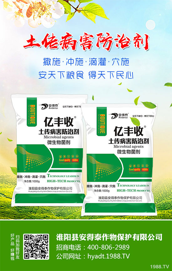 白蘿卜的功效與作用，白蘿卜營養(yǎng)價值！