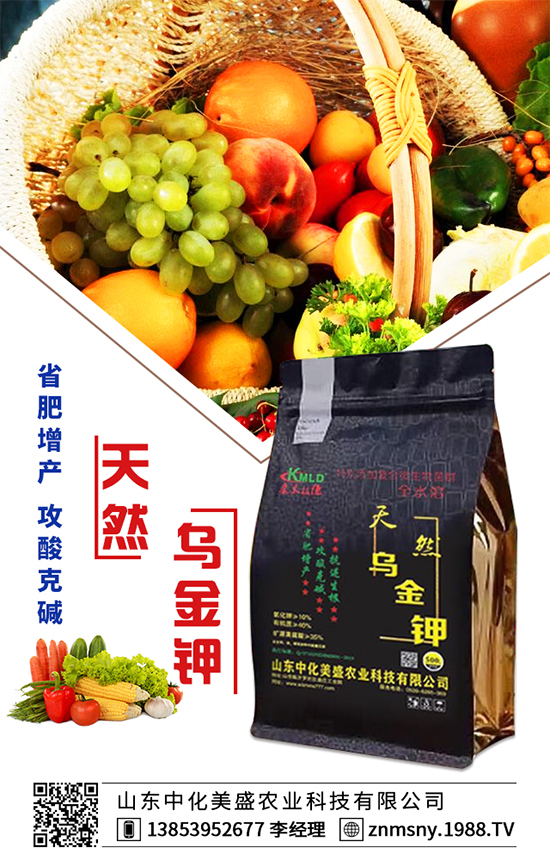 芹菜為什么會(huì)出現(xiàn)空心?芹菜空心的防治措施!