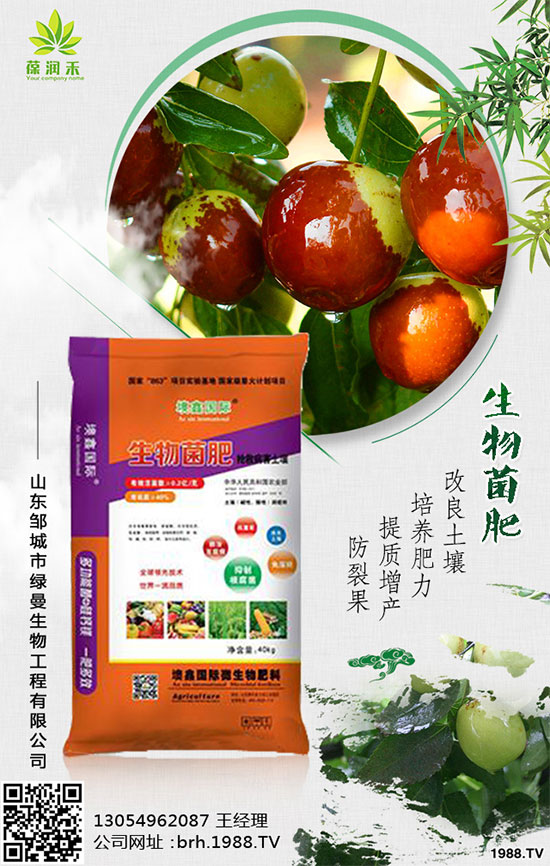 大棚西紅柿怎么栽培？大棚西紅柿高產(chǎn)栽培！