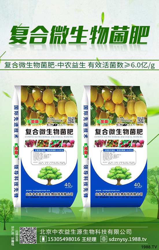     復合肥冬儲啟動緩慢！今日最新復合肥市場價格快訊2019-10-19