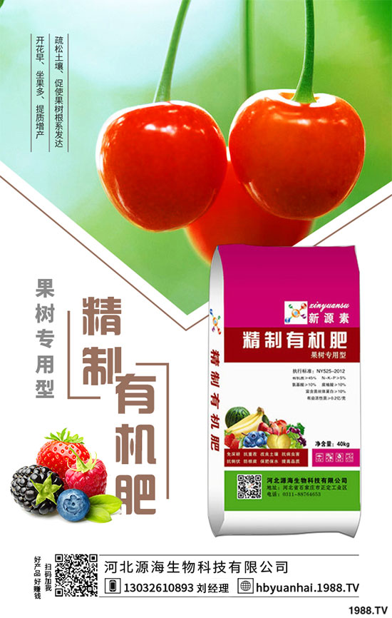 菠菜的生長習(xí)性如何？如何提高菠菜的產(chǎn)量？