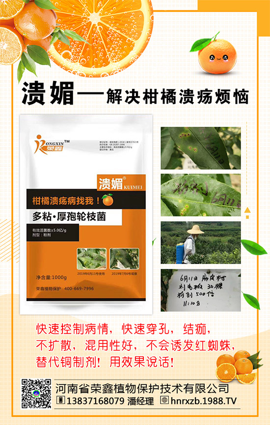 菠菜的營養(yǎng)價值，吃菠菜的好處有哪些？