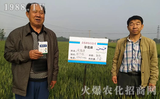 節(jié)節(jié)麥如何防除,用什么藥?