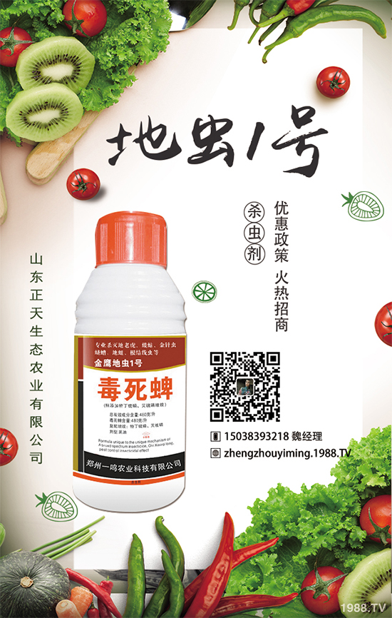 櫻桃蘿卜如何種植，櫻桃蘿卜需要注意什么？