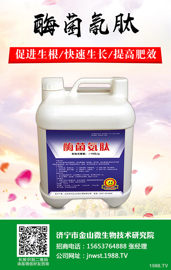 天冬怎樣種植，天冬高產(chǎn)管理技術(shù)！