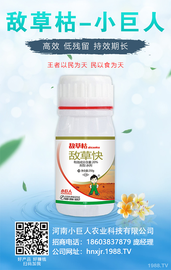 金銀花的種植技術(shù)？2020年金銀花種植前景分析