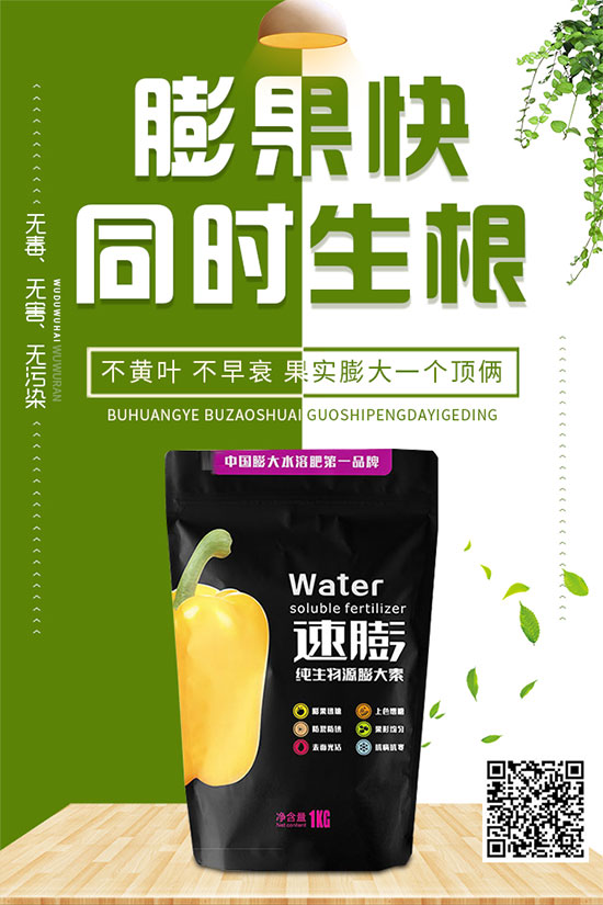 白菜霜霉病是如何引起的？有哪些危害？白菜霜霉病的預(yù)防措施