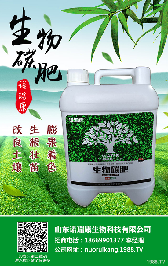 冬茬油麥菜該怎么種？掌握這幾點，輕松種出油麥菜！