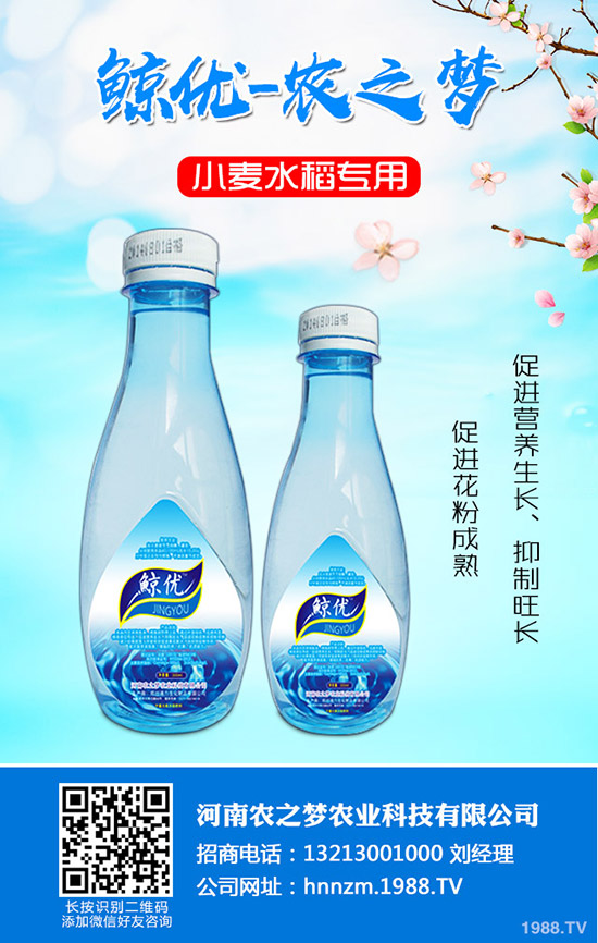 番茄缺鈣是什么表現(xiàn)？番茄補鈣措施！