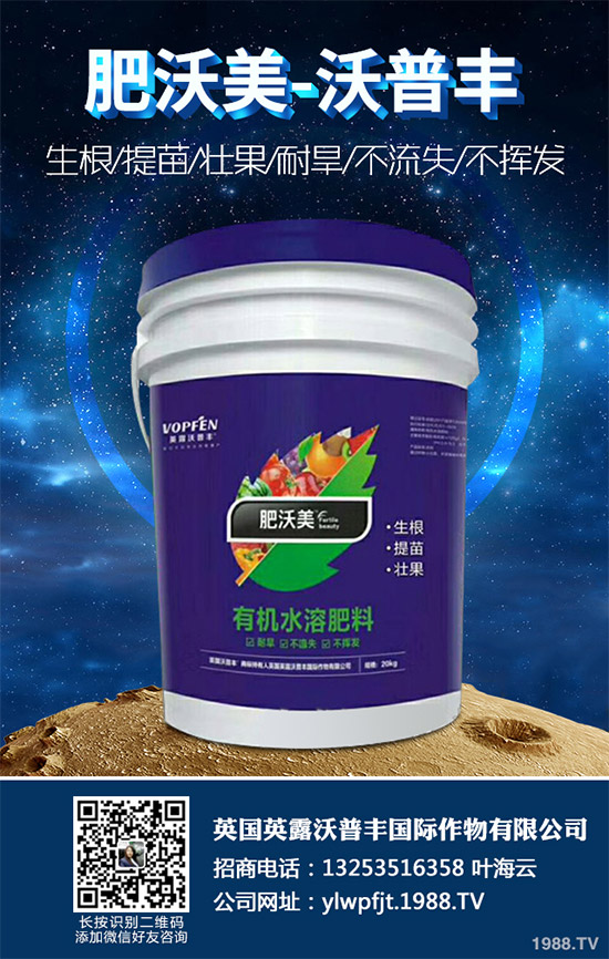     說起油麥菜，相信很多朋友都喜歡吃，不論是炒著吃，還是燙著吃油麥菜都有不一樣的風(fēng)味，油麥菜是我們常見的的蔬菜之一，油麥菜的營養(yǎng)價(jià)值略高于生菜，而遠(yuǎn)遠(yuǎn)優(yōu)于萵筍。那么，油麥菜的營養(yǎng)價(jià)值有哪些？吃油麥菜有哪些好處呢？