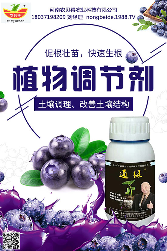 菠菜有什么營養(yǎng)價(jià)值？吃菠菜要去根嗎？