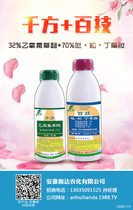 冬季馬鈴薯怎么種？冬季馬鈴薯栽培要點(diǎn)！