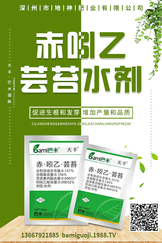 雞蛋果怎樣種植？雞蛋果種植技術(shù)及注意事項(xiàng)！