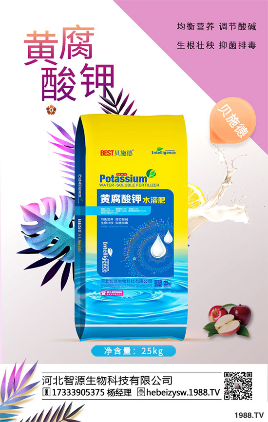 八月炸怎樣種植？八月瓜栽培技術(shù)！