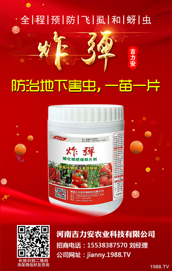 芹菜的功效與作用，哪些人不能吃芹菜？