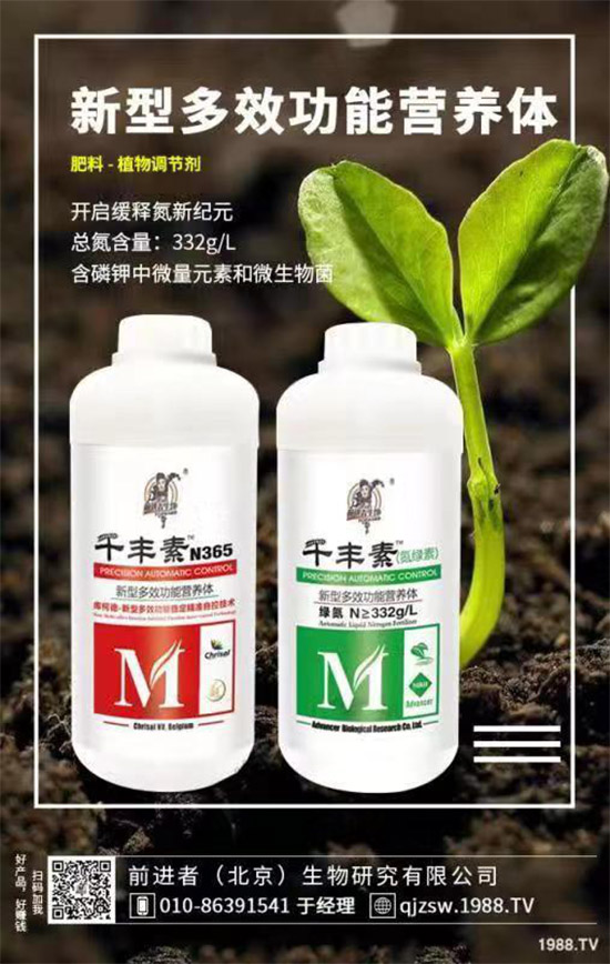 花生爛果怎么回事？花生爛果的防治措施！