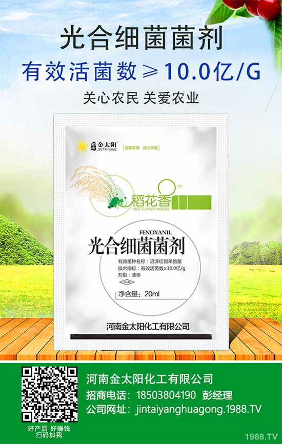 辣椒爛果多原因？辣椒爛果防治辦法！