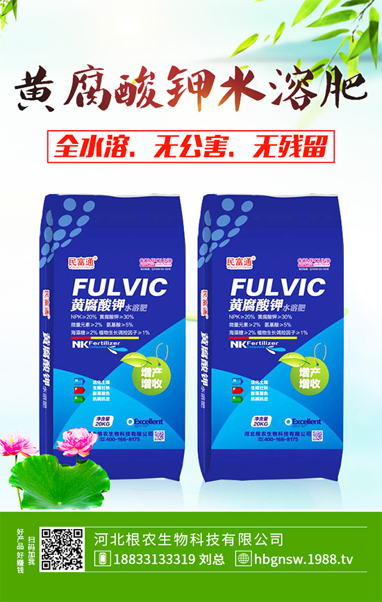 五味子樹該如何種植？五味子規(guī)?；N植技術(shù)