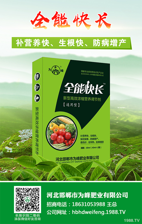 五味子樹該如何種植？五味子規(guī)模化種植技術(shù)