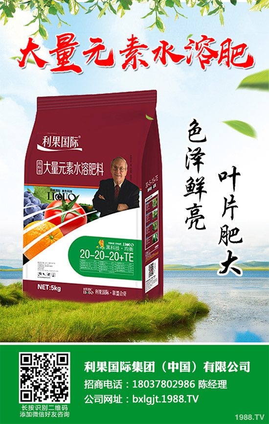 2020年種植水稻能掙錢嗎？2020年水稻種植前景