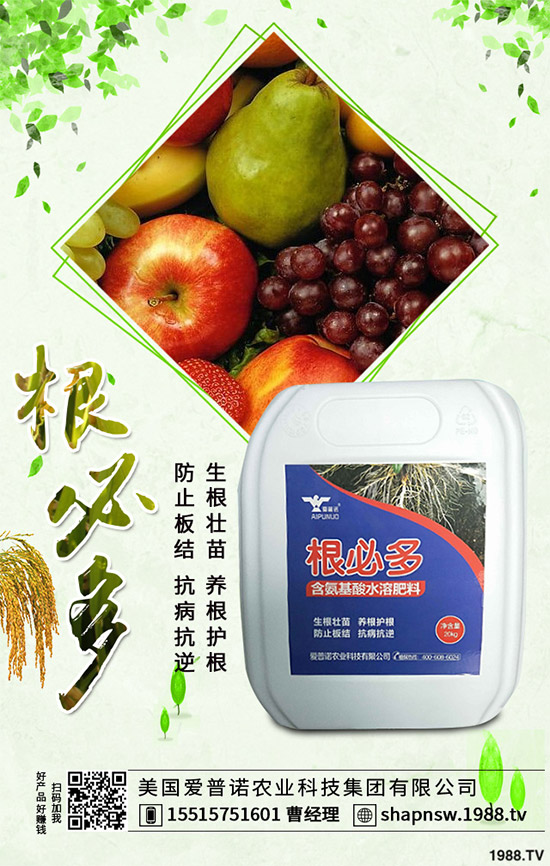 茄子怎么管理才能高產(chǎn)？茄子高產(chǎn)七大管理措施