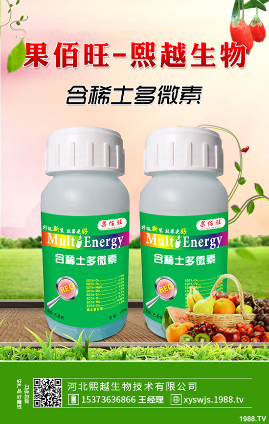 萵筍什么時(shí)候種植，萵筍種植要點(diǎn)有哪些？