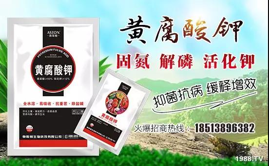 礦源黃腐酸鉀——精品肥！1公斤=8噸有機(jī)肥！新疆源頭直發(fā)?。?！