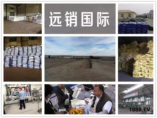 礦源黃腐酸鉀——精品肥！1公斤=8噸有機(jī)肥！新疆源頭直發(fā)?。?！