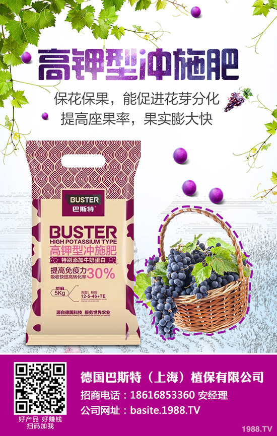 西葫蘆為什么會(huì)化瓜，西葫蘆化瓜原因及防治匯總！