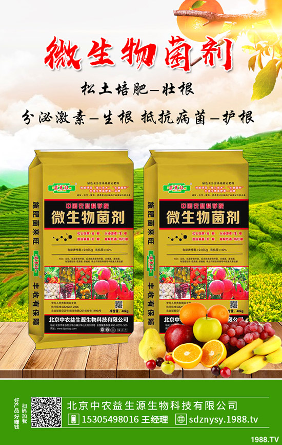     鉀肥價格將維持弱穩(wěn)！2019年11月2日最新行情走勢分析！