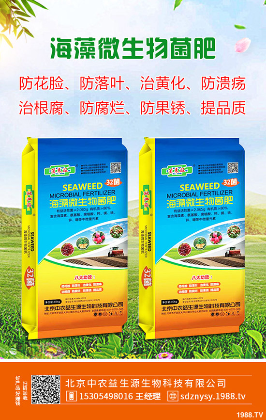     復(fù)合肥行情疲軟！2019年11月復(fù)合肥價(jià)格走勢(shì)綜合評(píng)測(cè)！