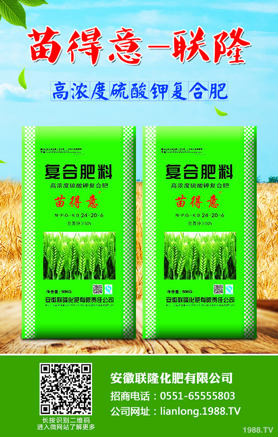 吃牛蒡?qū)ι眢w有什么好處？牛蒡的營養(yǎng)價(jià)值及功效!