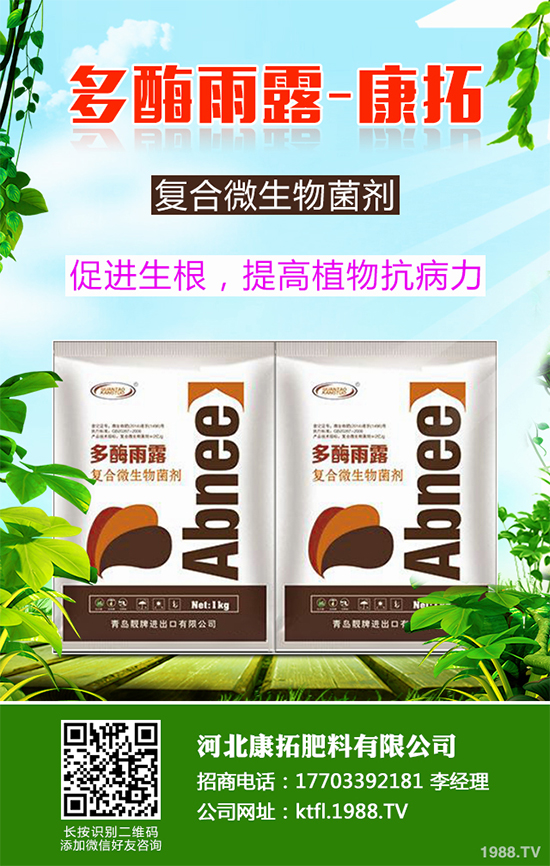 11月份農(nóng)事安排有哪些？2019秋冬蔬菜種植指南